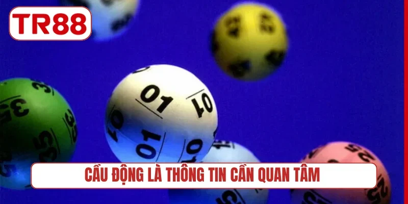 Cầu động là thông tin cần quan tâm