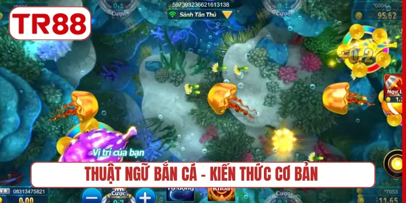 Thuật ngữ bắn cá